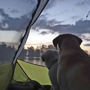 Meet your Posher, Alicia